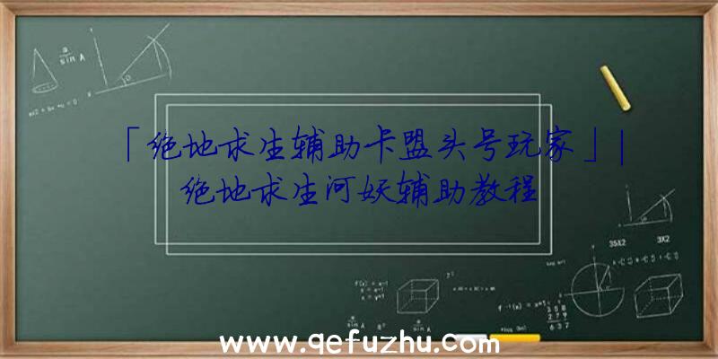 「绝地求生辅助卡盟头号玩家」|绝地求生河妖辅助教程